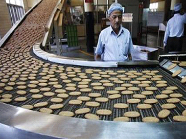 Biscuits on the production line