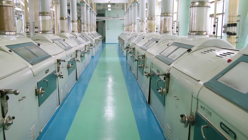 Biscuits on the production line